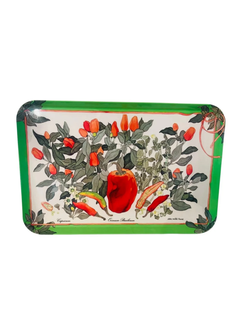 Vintage Italy Botanical Melamine Tray 17” Atelier Michele Trumel Peppers Basil